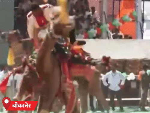 बीकानेर में सीएम बोले- 70 हजार पदों पर भर्ती की तैयारी,हम बिजली खरीद नहीं,बेच रहे हैं|बीकानेर,Bikaner - Dainik Bhaskar