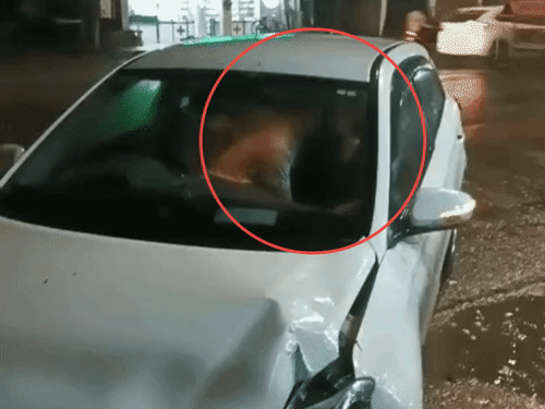 हादसे के बाद कार सवार कपल ने एक-दूसरे को किस किया।