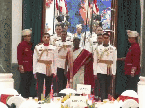Rashtrapati Bhavan At Home Reception