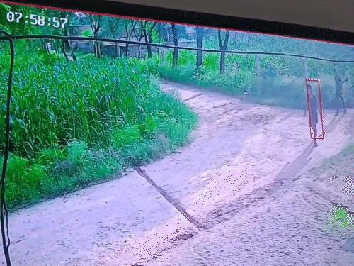 घटना से पहले बदमाशों ने घर की रैकी की
