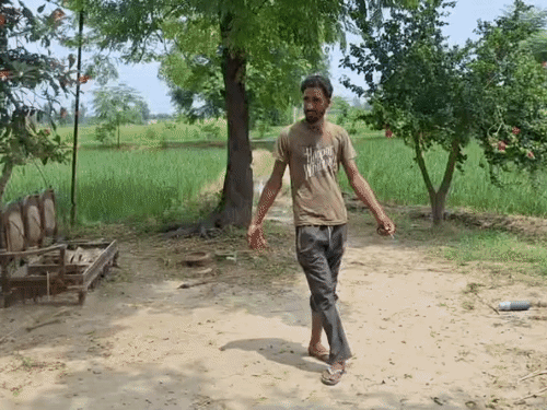 महिला इसी पेड़ के पास घूमती दिखी थी। यह घटना वहां लगे सीसीटीवी में कैद हुई।