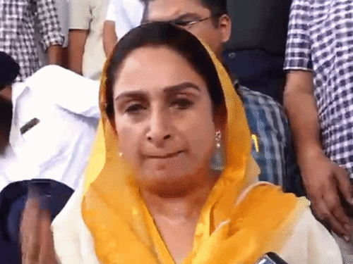 सांसद हरसिमरत कौर ने बताया कि सुखबीर बादल पर डेढ़ फुट किरच से हमला किया गया।