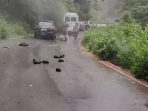 In Kotdwar, elephants surrounded a tempo traveller full of teachers, attacked and vandalised it.