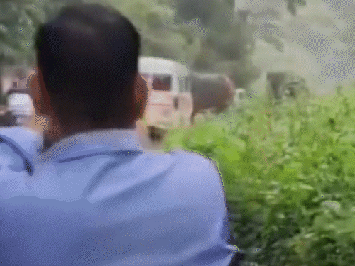 Elephants damaged the tempo traveller by pushing it and attacking with their trunks.
