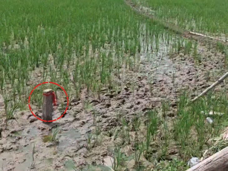 हरेराम और मुन्ना सिंह की खेत में गड़ा हुआ पिलर। स्थानीय लोगों का कहना है कि दोनों की जमीन इस पिलर तक ही है।