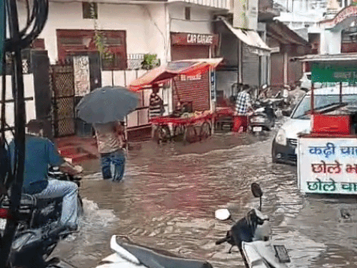हरियाणा में 4 दिन पहले कई इलाकों में अच्छी बारिश हुई थी।