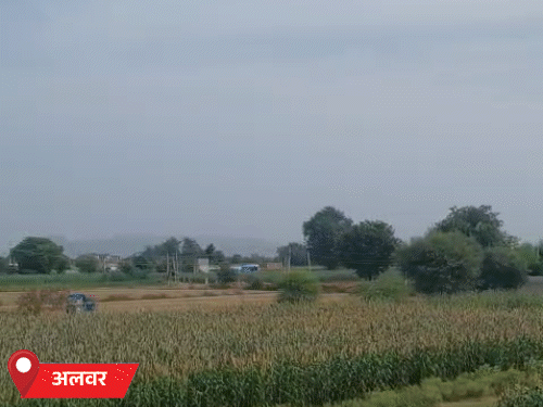 अलवर में सुबह से ही तेज धूप रही। लोग उमस से परेशान रहे।