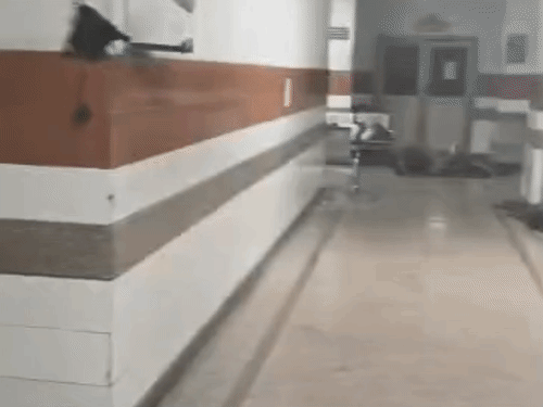 ये वीडियो सोमवार का है, जहां मेडिकल के ज्यादातर वार्ड में गार्ड नहीं मिला।