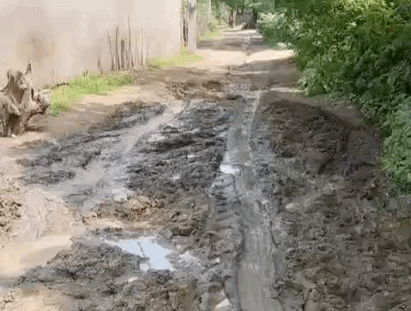 गांव की मुख्य सड़क सालों से खराब है।