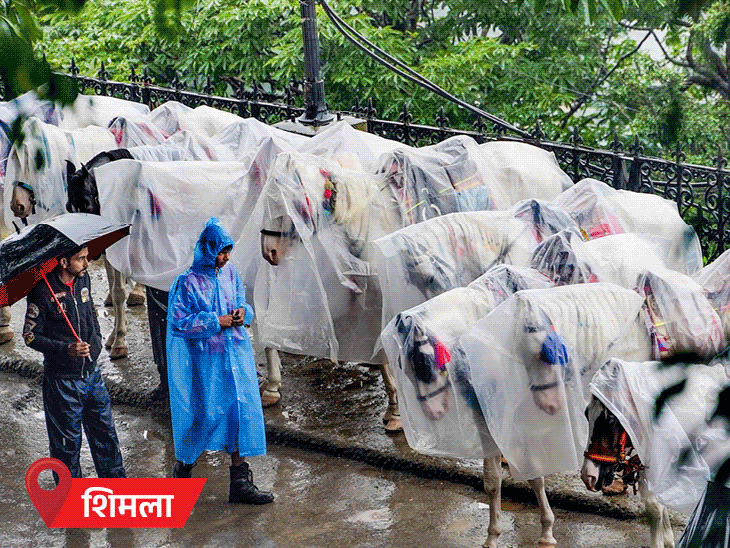 कई नदियां खतरे के निशान से ऊपर; पटना के बगहा में गंडक में समाया स्कूल|देश,National - Dainik Bhaskar