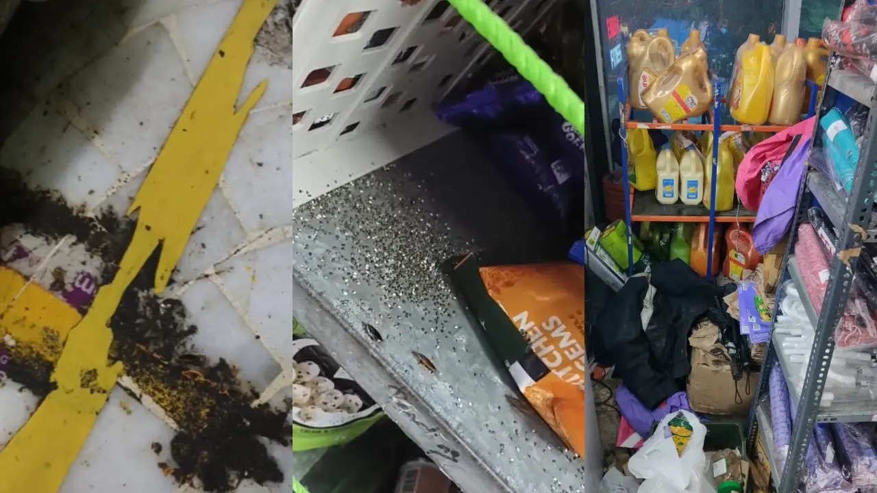FDA को ब्लिंकिट और जेप्टो के वेयरहाउस में कीड़े, जमीन पर बिखरा सामान और गंदगी मिली।
