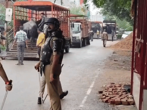 पुलिस की भारी मौजूदगी के चलते रविवार की तरह किसी ने इस एक्शन का विरोध नहीं किया।
