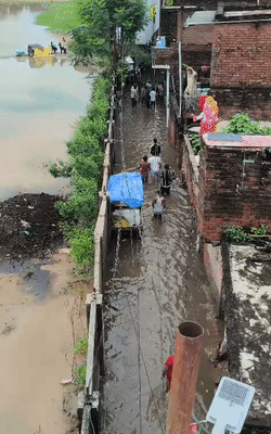 गलियां तालाब बन गई हैं। लोगों को पैदल निकलने में परेशानी हो रही है।
