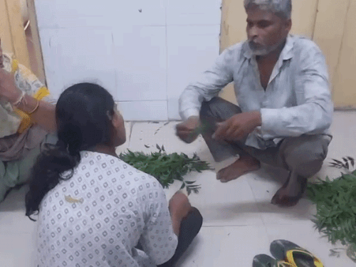 झाड़ा लगाने के दौरान वह मरीज को नीम की पत्तियां भी खाने को दे रहा है।