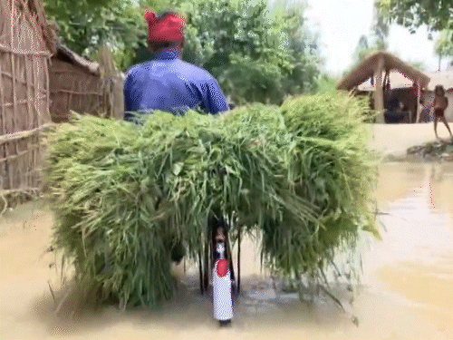In Gonda, Uttar Pradesh, the Ghaghara river is flowing above the danger mark. Floodwaters have reached 5 villages