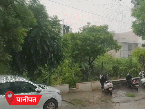 सोनीपत में करंट से युवक की मौत, पंचकूला में उफान पर घग्गर नदी; 21 से भारी बारिश के आसार|हिसार,Hisar - Dainik Bhaskar