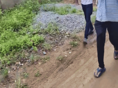 7 घंटे चले ऑपरेशन के बाद आरोपी को पकड़ा गया।