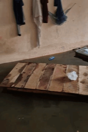 छात्रों ने बताया कि तख्त-बिस्तर डूब गए हैं। खाने-पीने की जगह तक पानी पहुंच गया है। इसलिए अब घर जा रहे हैं।