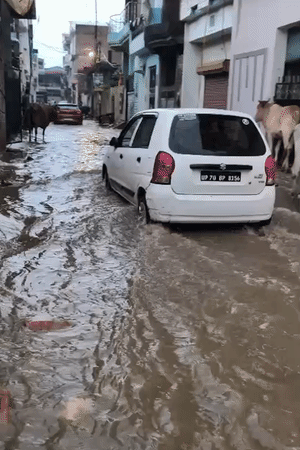 नालियों का गंदा पानी लोगों के घरों में भरा है, ऐसे में बदबू भी आ रही। लोगों ने कहा- बीमारियों का डर सताने लगा है।