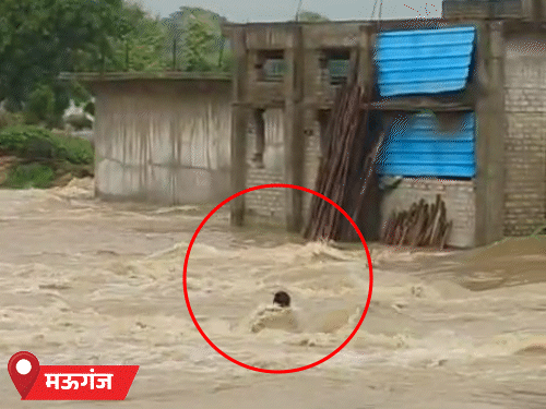 मऊगंज में अष्टभुजा नदी उफान पर है। नईगढ़ी गांव में एक मजदूर बाढ़ में बह गया।