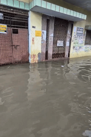 प्रयागराज में घरों के अंदर तक गंदा पानी भरा हुआ है। लोगों छतों से मदद मांग मांगने को मजबूर हैं।