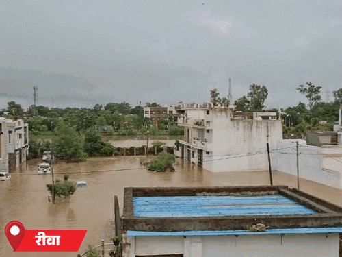 रीवा के कई रिहायशी इलाके पानी में डूब गए।