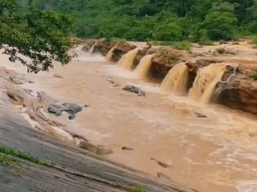 लगातार बारिश के बाद चतरा के तमासिन जलप्रपात का दृश्य।