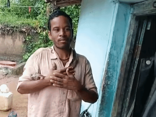 ग्रामीण शराब के नशे में कोबरा को पकड़ लिया।