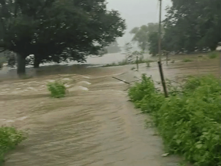 यह तस्वीर बैकुंठपुर से 3 किलोमीटर दूर दोहा गांव की है। यहां बारिश के बाद जलस्तर बढ़ता जा रहा है, जिससे आसपास के गांवों का कनेक्शन टूट गया।