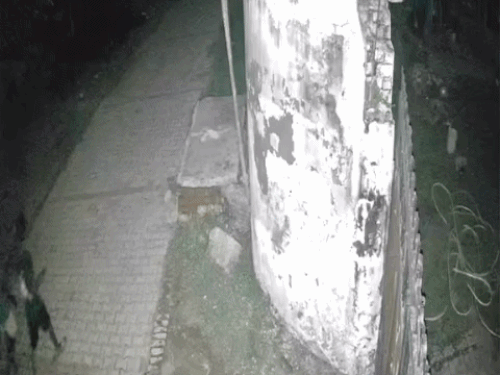 Two young men seen visible in CCTV footage