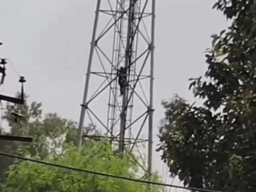 Woman Poonam descending from the tower after being persuaded by family members and police