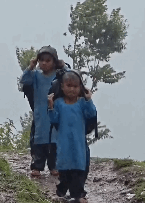 रुद्रप्रयाग में भारी बारिश की परवाह किए बिना स्कूल जाते हुए बच्चे। यह वीडियो उत्तराखंड पुलिस ने शेयर किया है।