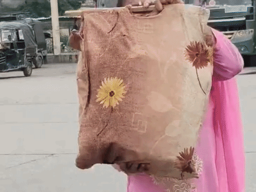 जालंधर बस स्टैंड पर महिला रामा मंडी जाने के लिए आई, लेकिन बसें बंद थी। इसके बाद वह सामान कंधे पर रखकर पैदल ही जाने को मजबूर हुई। महिला ने कहा कि उसे पंजाब बंद का पता नहीं था।
