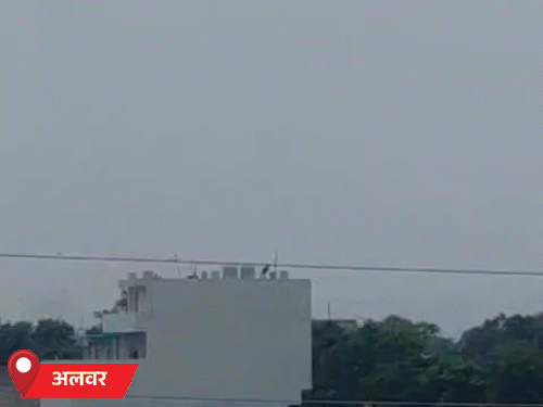 अलवर जिले में शुक्रवार को उमस रही। जिले में आने वाले दिनों में बारिश की संभावना है।