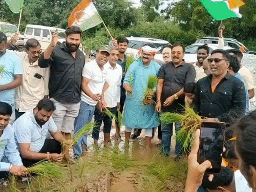 गड्ढों और दलदल से भरी सड़क पर धान की रोपाई कर विरोध जताया गया।