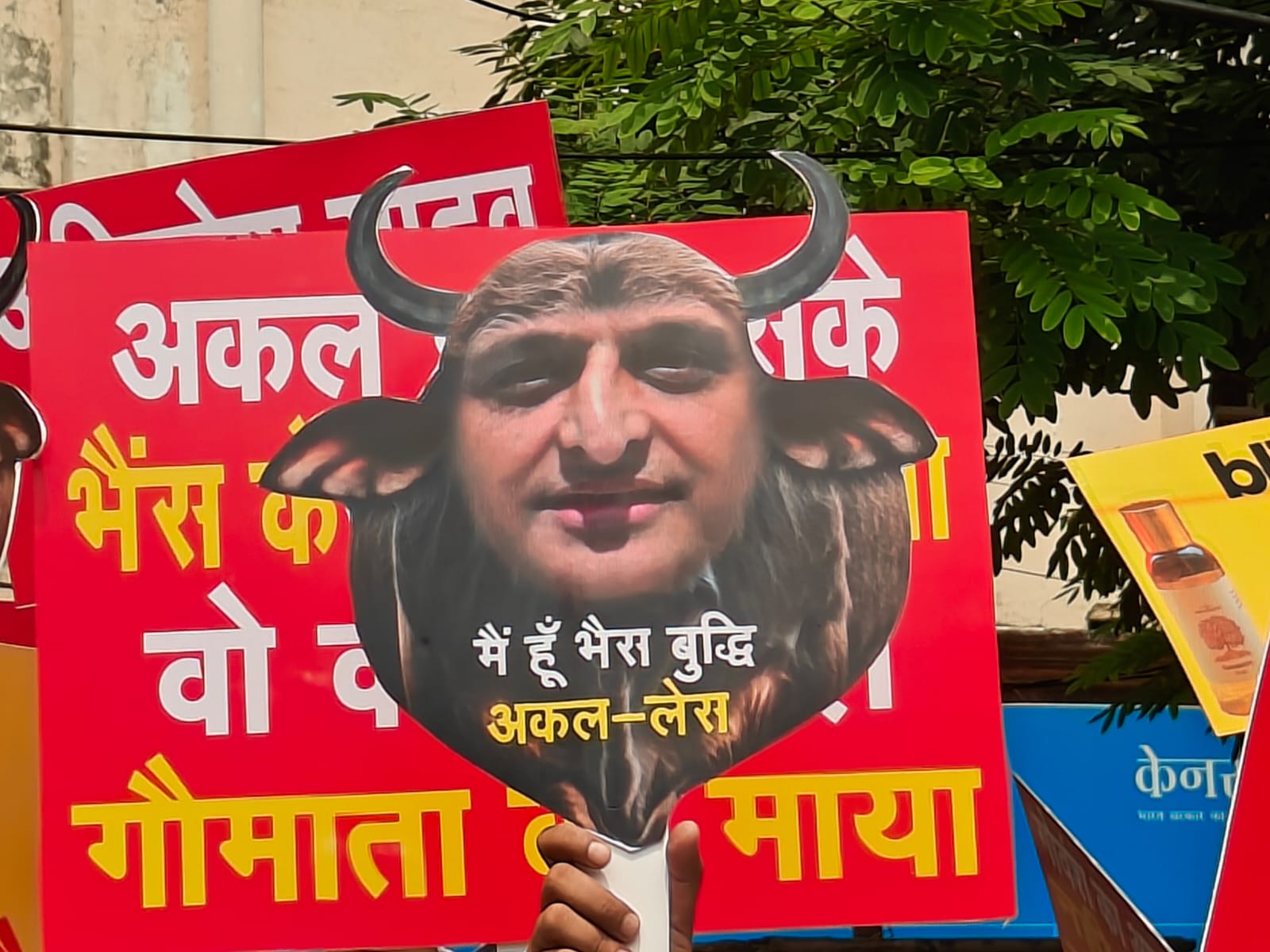 लखनऊ में अखिलेश की तस्वीर पर बरसाईं चप्पलें, सनातन रक्षा संगठन भैंस का मुखौटा लगाकर पहुंचे