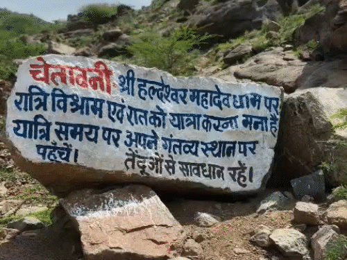 मंदिर तक जाने वाले मार्ग में जगह-जगह वन्यजीवों का खतरा बना रहता है। इसको लेकर यहां चेतावनी भी लिखी है।