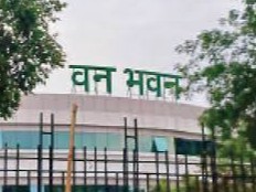 उप वन क्षेत्रपाल से वन क्षेत्रपाल के पद पर पदोन्नति नहीं किए जाने से नाराजगी|भोपाल,Bhopal - Dainik Bhaskar