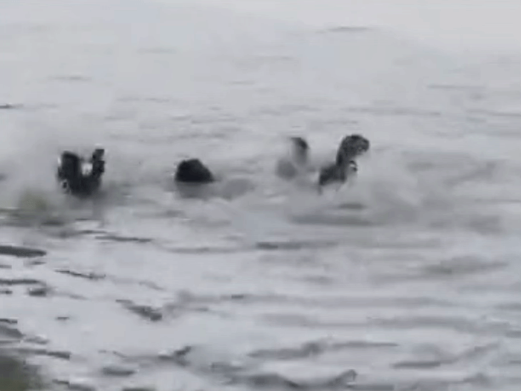 Two girls started drowning while bathing in Ganga in Unnao, UP. To save them, the father also jumped into the river and he also started drowning. The people present on the spot saved all three.