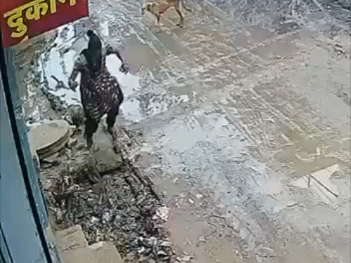 वीडियो वायरल होने पर जागा प्रशासन, कमिश्नर और मेयर ने लिया जायजा, ठेकेदार को लगी फटकार|पानीपत,Panipat - Dainik Bhaskar