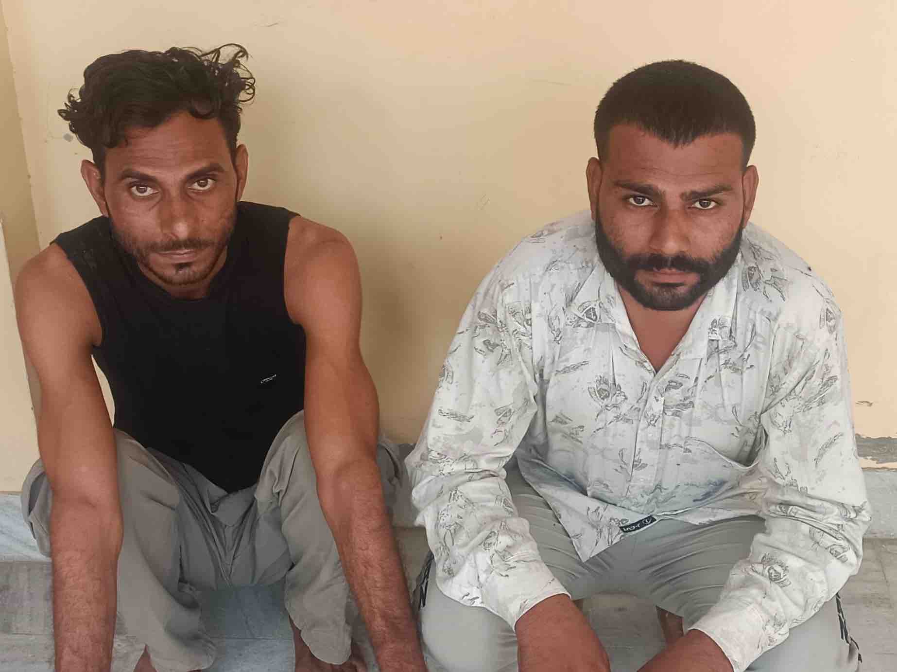 पिकअप भी की जब्त, 10 डीपीएन क्षेत्र में गश्त के दौरान कार्रवाई|हनुमानगढ़,Hanumangarh - Dainik Bhaskar