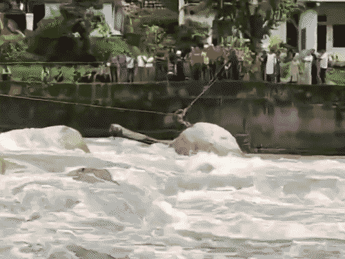 A person trapped in the swift current of the Yamuna River near the Kharadi suspension bridge in Uttarkashi was rescued.