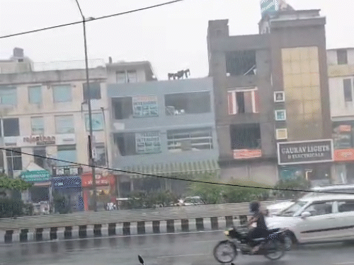 फोटो जयपुर के गोपालपुरा मोड़ की है। शहर के कई इलाकों में सोमवार दोपहर तेज बारिश हुई।