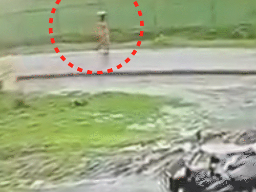छत्तीसगढ़ के मुंगेली में पैदल जा रही महिला पर बिजली गिर गई।