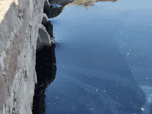 हालात ये है कि पानी तक काला हो चुका है। इससे बीमारियों के फैलने का खतरा भी बढ़ गया है। (फाइल फोटो)