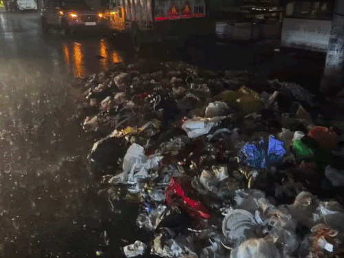 जालंधर की हर सड़क और गली-मोहल्लों के बाहर जमा कचरा।