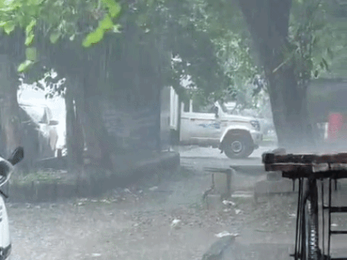 अलवर शहर में सुबह तेज बारिश हुई। लगातार हो रही बारिश के कारण लोगों को गर्मी-उमस से राहत मिली है।
