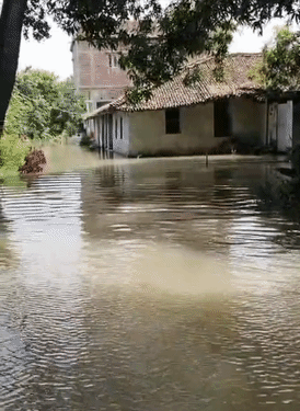 Flood water on the road in Khorampur and Chhitaura villages of the district.