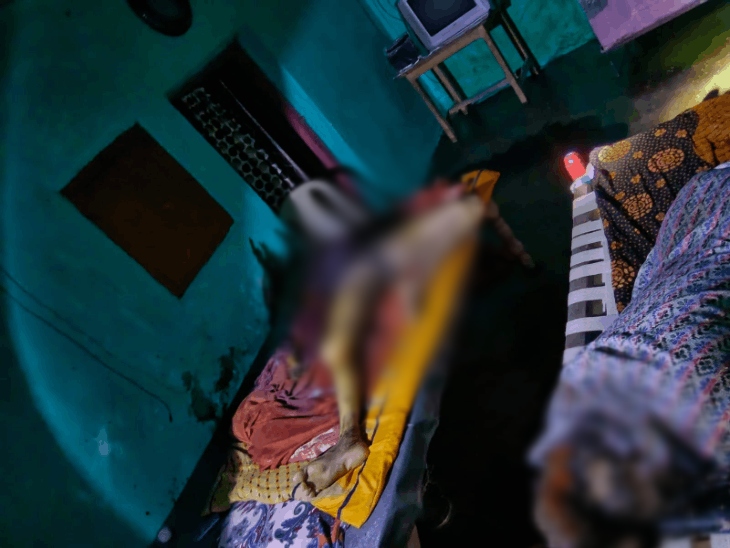 जमीनी विवाद में सगे भाई ने हत्या की वारदात को अंजाम दिया था।