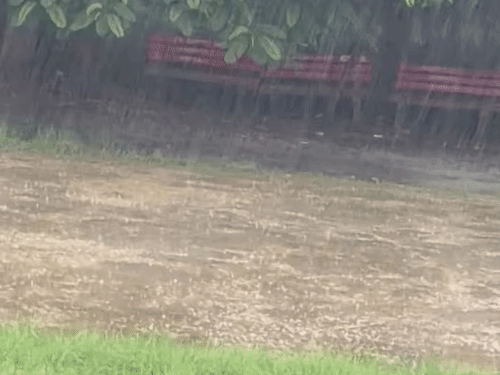गुरुग्राम में लगातार दूसरे दिन मंगलवार सुबह बारिश हुई।